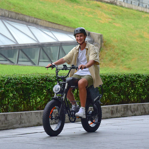 Hidoes B9 Dual Battery Electric Bike