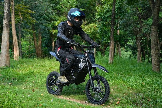 Which Is Better, an Electric Scooter or an Electric Motorcycle?