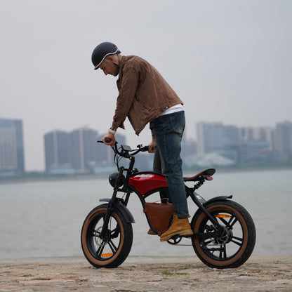 Hidoes B10 Cowboy Fat Tire Electric Bike