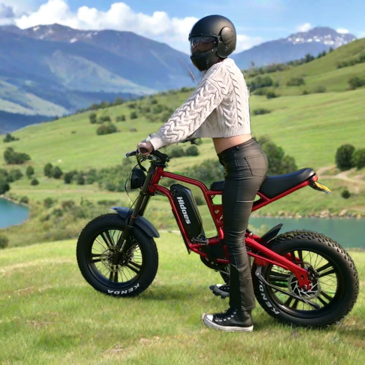 Hidoes B6 Cruiser Electric Bike for Adults