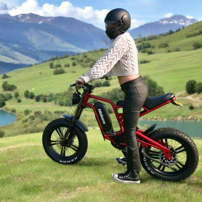 Hidoes B6 Cruiser Electric Bike for Adults