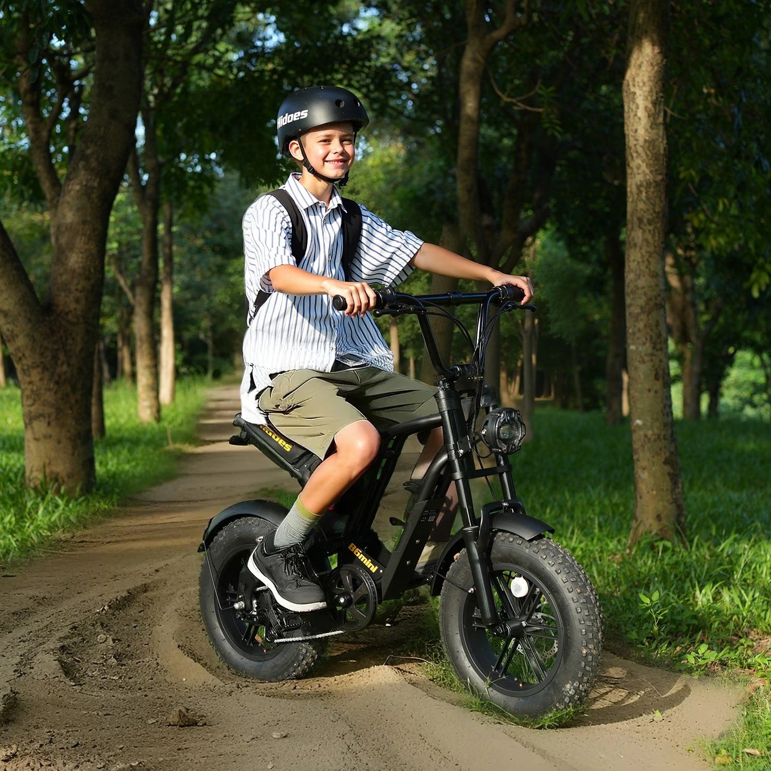 Hidoes B6 Mini Electric Bike Best E-bike for Teens Adults