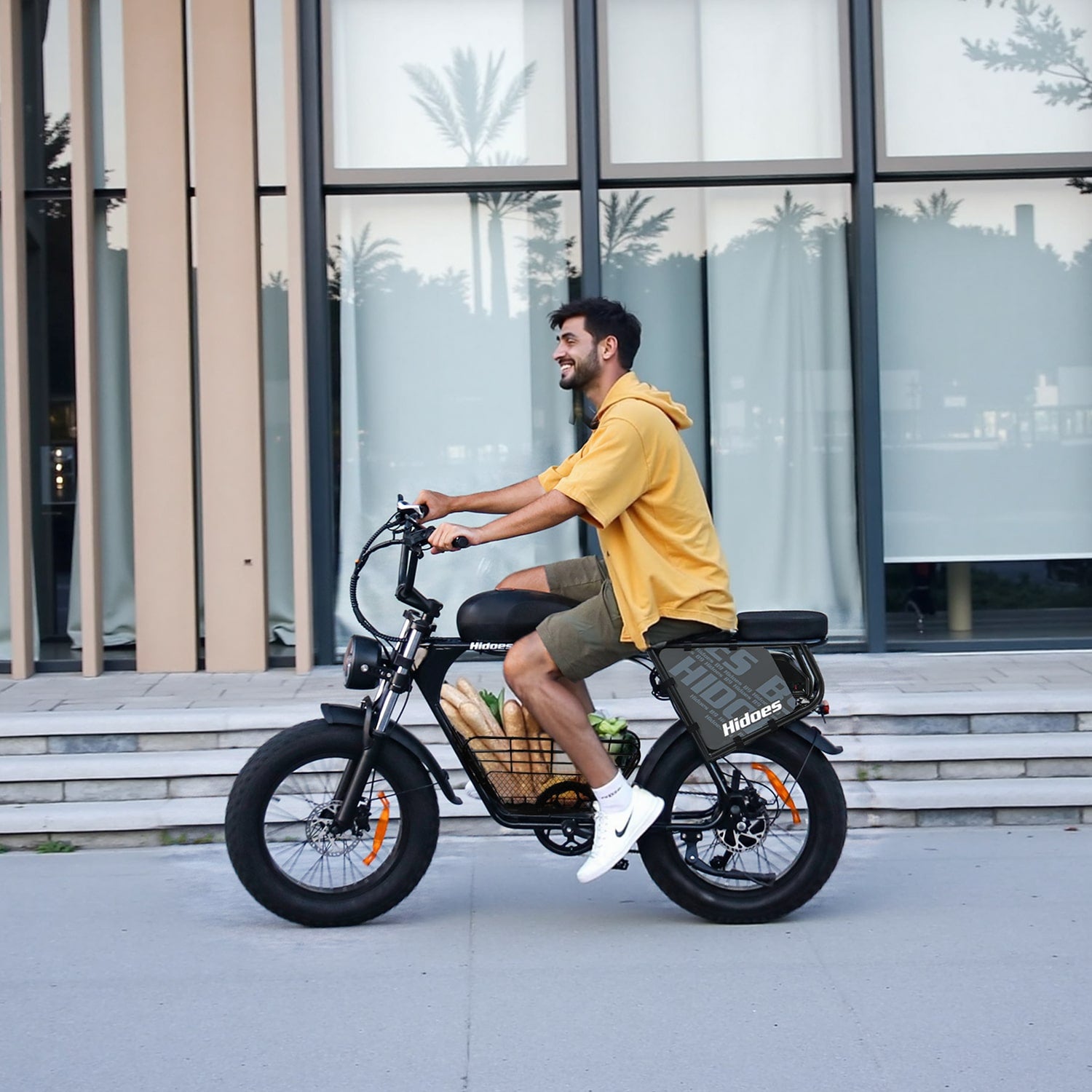 Hidoes B9 Dual Battery Electric Bike