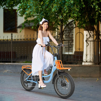 Hidoes C6 City Electric Bike