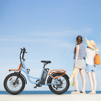 Hidoes C6 City Electric Bike
