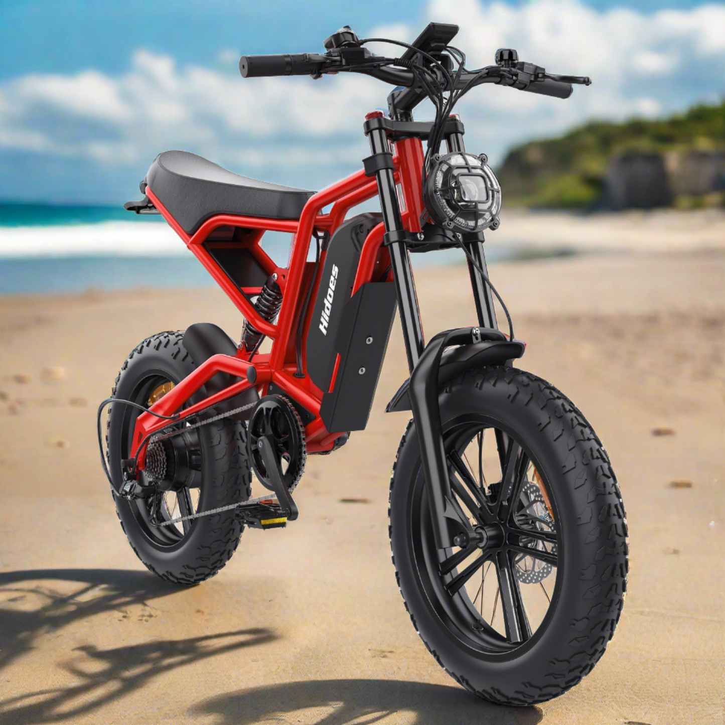 Hidoes B6 Cruiser Electric Bike for Adults