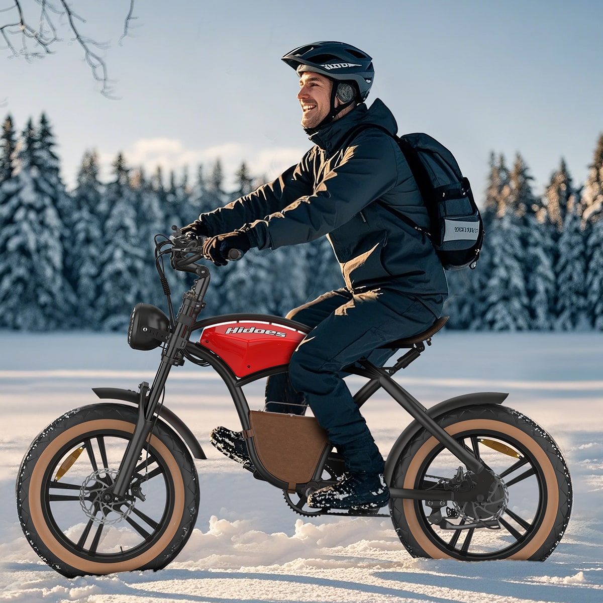 Hidoes B10 Cowboy Fat Tire Electric Bike