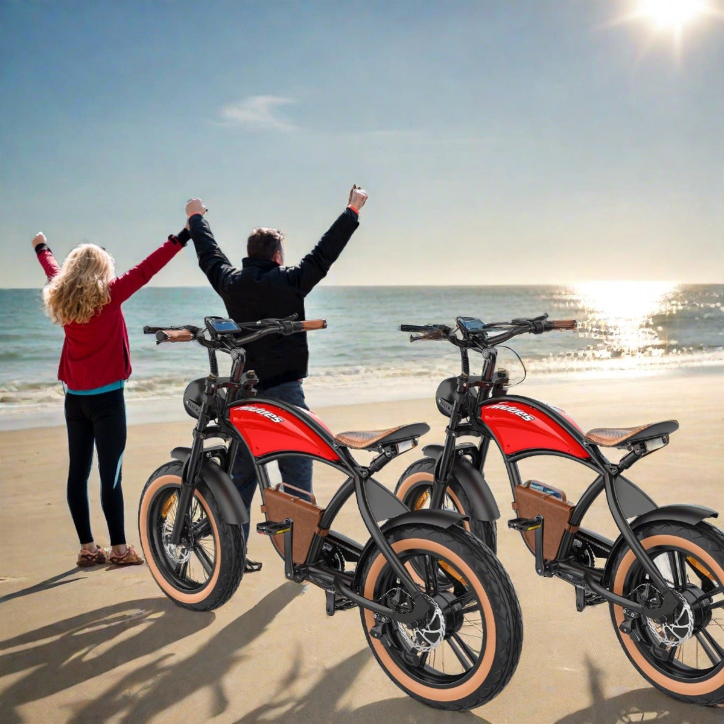 Hidoes B10 Cowboy Fat Tire Electric Bike