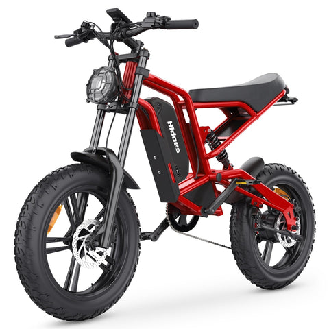 Hidoes B6 Fat Tyre Electric Bike | 1200W, 50-Mile Range, 20"x4" Tyres