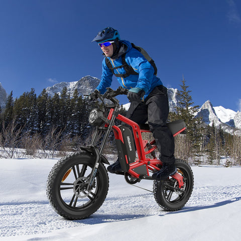Hidoes B6 Fat Tyre Electric Bike | 1200W, 50-Mile Range, 20"x4" Tyres