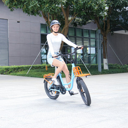 Hidoes C6 City Electric Bike