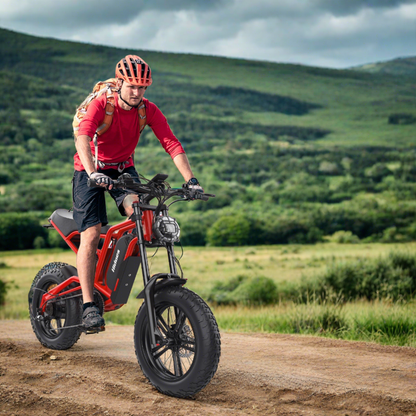 Hidoes B6 Cruiser Electric Bike for Adults