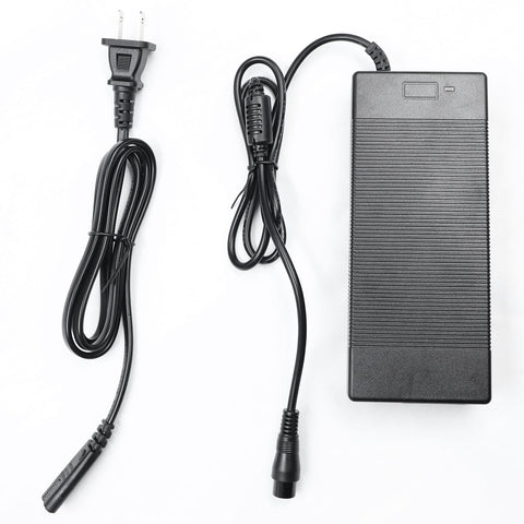 Charger for iENYRID M4